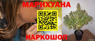 крисы Канаш